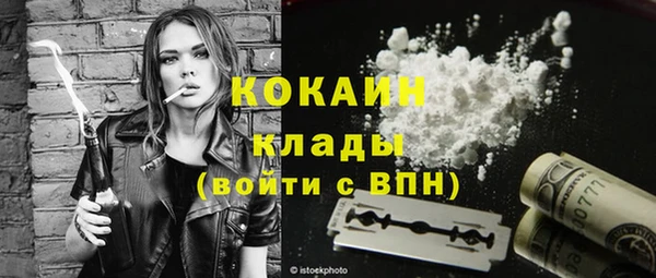 прущие грибы Алагир